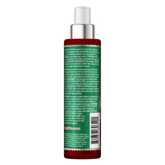 Scentsicles Kerstboom geurspray | Scentsicles | 118 ml (Autumn 'n Apples) 31SMANA K151100202 - 2