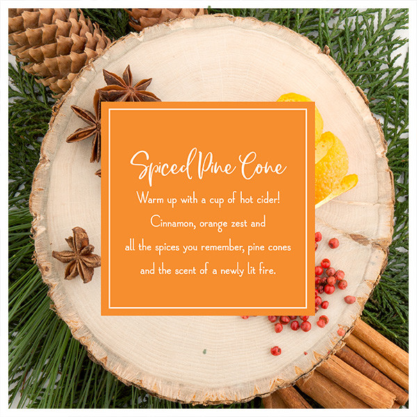 Scentsicles Kerstboom geurspray | Scentsicles | 118 ml (Spiced Pine Cones) 31SMSPC K151100069 - 4