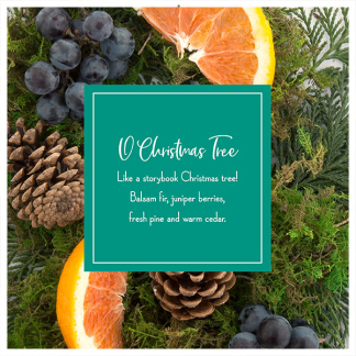 Scentsicles Kerstboom geurstokjes | Scentsicles | 6 stuks (O Christmas Tree) 31SBOCT K151100066 - 4