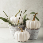 Scentsicles Kerstboom geurstokjes | Scentsicles | 6 stuks (Scenter Stakes, Goud) 31SSTG K151100196 - 3