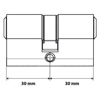 Starx Cilinder | Starx | 4 stuks (Dubbel, Gelijksluitend, SKG**, 30/30 mm, Vernikkeld, 12 sleutels) 8740311 K010808134 - 