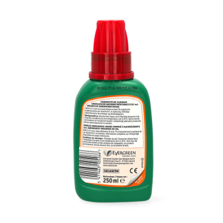 Substral Cactus, bonsai en vetplanten voeding | Substral | 250 ml (Vloeibaar) SECA025N K170115550 - 3