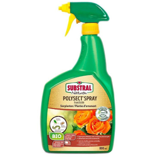 Substral Insectenspray | Substral | Polysect Gyo | 800 ml (Spray, Sierplanten, Bladinsecten) SPOL080 K170501723 - 1