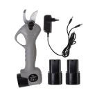 Talen Tools Accu snoeischaar | Talen Tools (Koffer, 16.7V, Incl. 2 accu’s en lader) EF191 K170116834 - 2