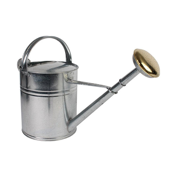 Talen Tools Gieter | Talen Tools | 10 liter (Broeskop, Metaal, Verzinkt) GRV10 K170116848 - 1