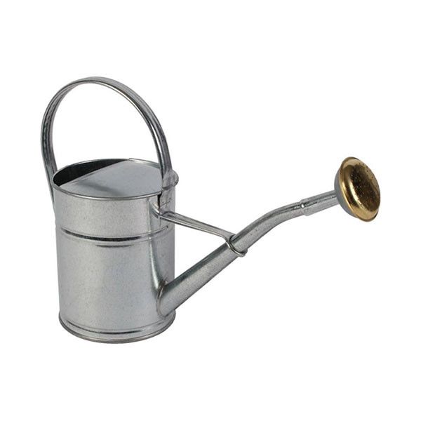 Talen Tools Gieter | Talen Tools | 2 liter (Broeskop, Metaal, Verzinkt) GRV2 K170116849 - 1