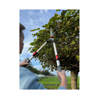 Talen Tools Heggenschaar | Talen Tools | 69 – 89 cm (Telescopisch, Softgrip) SP22 K170116896 - 3
