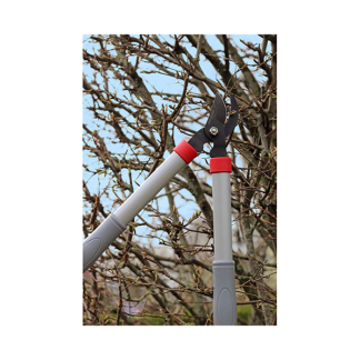 Talen Tools Snoeiset | Talen Tools | 2-delig (15 mm, 34 mm, Aambeeld) SP16 K170116894 - 2