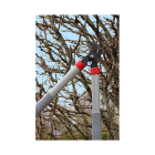 Talen Tools Snoeiset | Talen Tools | 2-delig (15 mm, 34 mm, Aambeeld) SP16 K170116894 - 2