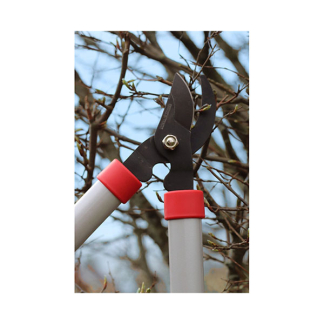 Talen Tools Snoeiset | Talen Tools | 2-delig (15 mm, 34 mm, Aambeeld) SP16 K170116894 - 3