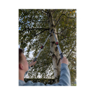 Talen Tools Takkenschaar | Talen Tools | 66 – 90 cm (45 mm, Telescopisch, Bypass) SP11 K170116892 - 5