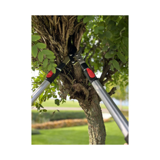 Talen Tools Takkenschaar | Talen Tools | 66 – 90 cm (45 mm, Telescopisch, Bypass) SP11 K170116892 - 6