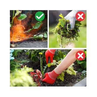 Toolland Onkruidbrander gas | Toolland (1300 °C, Gasslang) VL104 K170113005 - 2