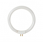 Toolland Reservelamp voor loeplamp | Toolland (Ø 12 cm, 550lm, 12W, Koud wit) LAMP22/8 K100906045 Toolland Reservelamp voor loeplamp | Toolland (Ø 12 cm, 550lm, 12W, Koud wit) LAMP22/8 K100906045