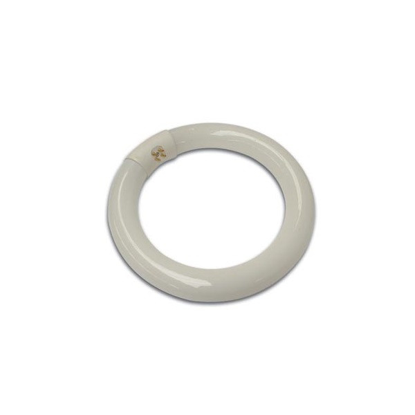 Toolland Reservelamp voor loeplamp | Toolland (Ø 20.7 cm, 1050lm, 22W, Koud wit) LAMP22 K100906044 - 1