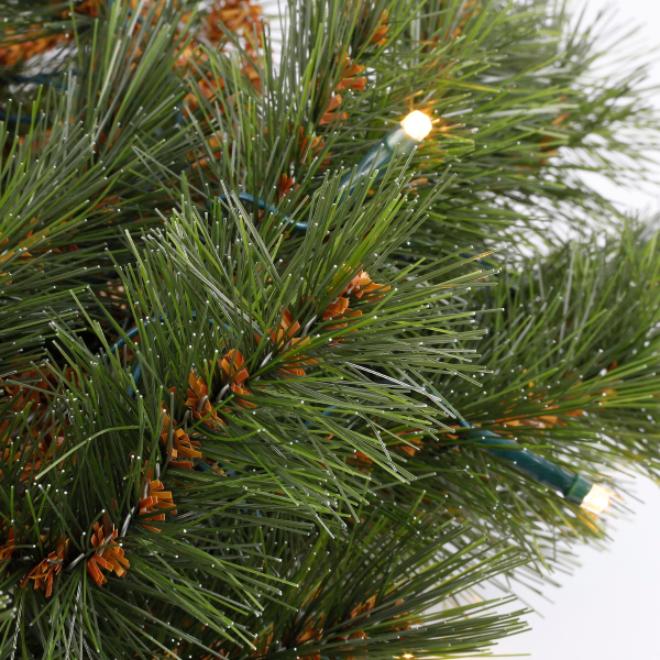 Triumph Tree Guirlande | Triumph Tree | Forest Frosted | 1.8 meter (72 leds, Bevroren, Netstroom, Binnen) 387085 K151100147 - 2