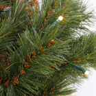 Triumph Tree Guirlande | Triumph Tree | Forest Frosted | 2.7 meter (96 leds, Bevroren, Netstroom, Binnen) 387086 K151100148 - 2