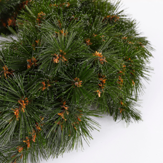 Triumph Tree Kerstkrans | Triumph Tree | Forest Frosted | Ø 45 cm (Groen, Binnen) 386262 K151100150 - 2