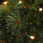 Triumph Tree Kerstkrans | Triumph Tree | Forest Frosted | Ø 60 cm (72 leds, Netstroom, Groen, Binnen) 387073 K151100153 - 2