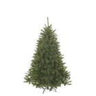 Triumph Tree Kunstkerstboom | Triumph Tree | Bristlecone | 1.85 m (686 tips, PVC) 388726 K151100072 - 1