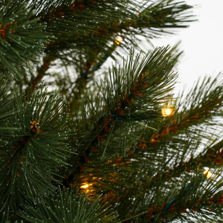 Triumph Tree Kunstkerstboom | Triumph Tree | Bristlecone | 2.3 m (304 leds, 1168 tips, PVC) 389728 K151100078 - 3