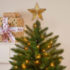 Triumph Tree Kunstkerstboom | Triumph Tree | Bristlecone | 2.3 m (304 leds, 1168 tips, PVC) 389728 K151100078 - 6