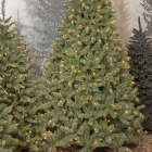 Triumph Tree Kunstkerstboom | Triumph Tree | Bristlecone | 2.6 m (440 leds, 1583 tips, PVC) 1013550 K151100079 - 6