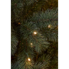 Triumph Tree Kunstkerstboom | Triumph Tree | Norwood | 1.85 meter (270 leds, 850 tips, PVC) 1184096 K151100210 - 2