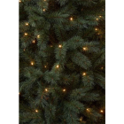 Triumph Tree Kunstkerstboom | Triumph Tree | Norwood | 2.15 meter (380 leds, 1350 tips, PVC) 1184097 K151100211 - 2