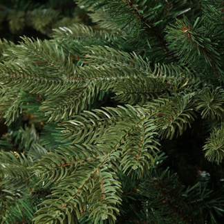 Triumph Tree Kunstkerstboom | Triumph Tree | Sherwood | 1.85 m (1575 tips, PVC/PE) 389096 K151100080 - 3