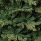 Triumph Tree Kunstkerstboom | Triumph Tree | Sherwood | 2.3 meter (2406 tips, PVC/PE) 389098 K151100082 - 3