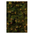 Triumph Tree Kunstkerstboom | Triumph Tree | Wyoming | 1.85 meter (288 leds, 739 tips, Hardneedle) 1164763 K151100176 - 3