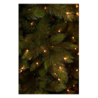 Triumph Tree Kunstkerstboom | Triumph Tree | Wyoming | 1.85 meter (288 leds, 739 tips, Hardneedle) 1164763 K151100176 - 4