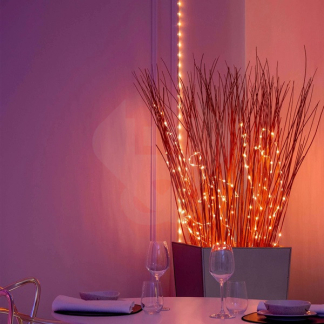 Twinkly Slimme LED strip met voeding | Twinkly | 5 meter (Flexibel, 60 LEDs, 5V, IP20, Multicolor, Transparant) TWD060STP-T A151000551 - 