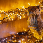 Twinkly clusterverlichting | 8.5 meter (400 leds, Wifi, Timer, Goud, Binnen/Buiten) TWC400GOP-BEU K151000352 - 4