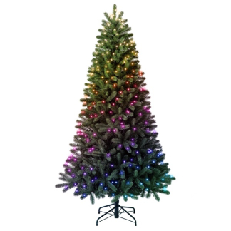Twinkly kerstboom | 2.1 meter (435 LEDs, Wifi, Timer, RGB + Wit, Binnen) TG70P4425P01 K151000572 - 