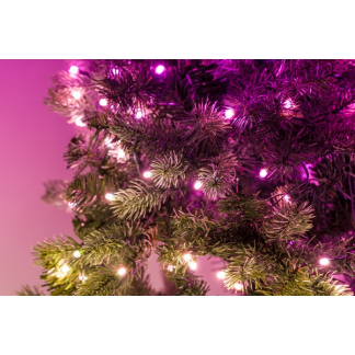 Twinkly kerstboom | 2.1 meter (540 LEDs, Wifi, Timer, RGB, Binnen) TG70P4425P00 K151000571 - 