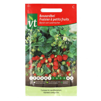 VT Aardbeienzaad | VT (Bosaardbei) 50001805 K170116640
