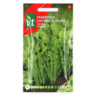 VT Andijviezaad | VT | 10 stuks (Fijne krul)  W170116643 - 2