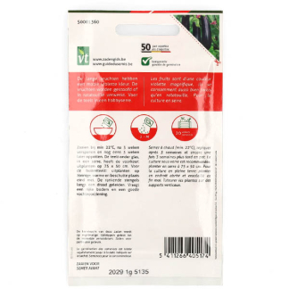 VT Auberginezaad | VT (Lange violette) 50001360 K170116644 - 3