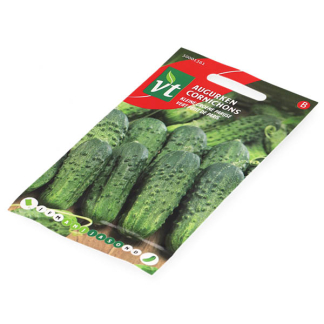 VT Augurk zaad | VT | 10 stuks  W170116645 - 3