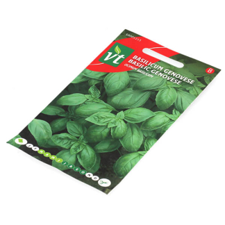 VT Basilicumzaad | VT (Genovese) 50001213 K170116686 - 2