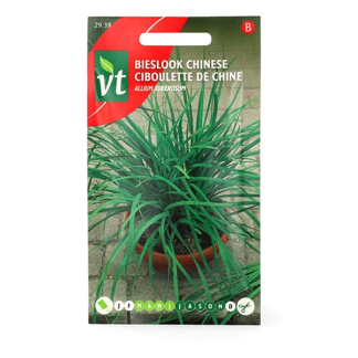 VT Bieslookzaad | VT | 10 stuks (Chinese)  W170116689 - 2