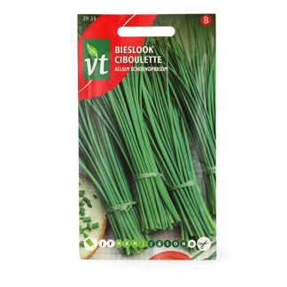 VT Bieslookzaad | VT | 5 stuks  V170116688 - 2