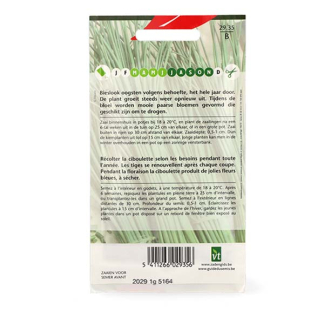 VT Bieslookzaad | VT | 5 stuks  V170116688 - 4