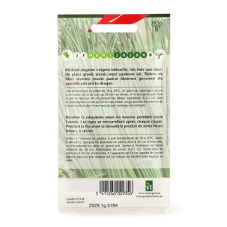 VT Bieslookzaad | VT 50001214 K170116688 - 3