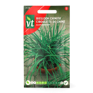 VT Bieslookzaad | VT (Chinese) 50001218 K170116689