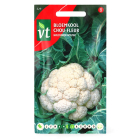 Bloemkool zaad | VT