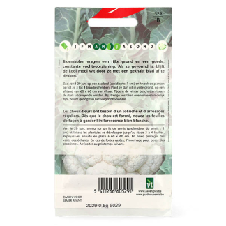 VT Bloemkool zaad | VT 50001366 K170116646 - 3