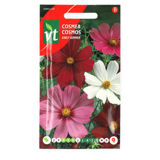 VT Bloemzaden Cosmea | VT 50001459 K170116620